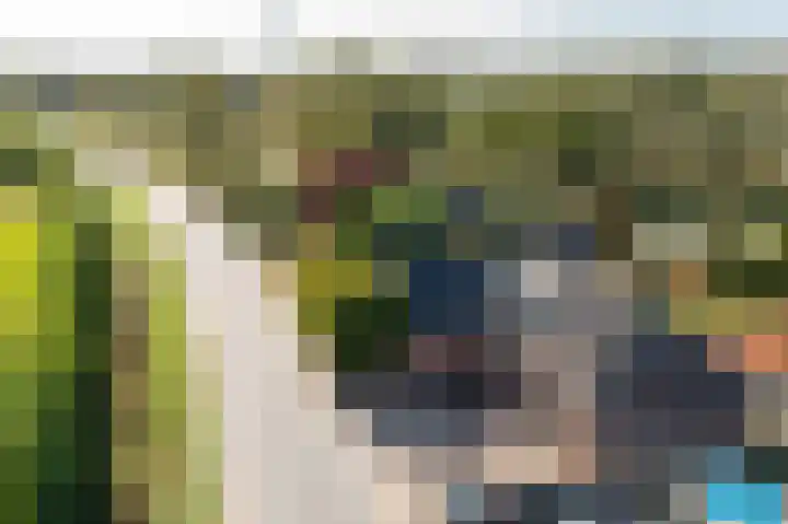 Parallelweg 10 Nieuwendijk thumbnail 63