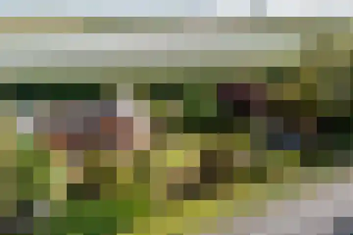 Parallelweg 10 Nieuwendijk thumbnail 65