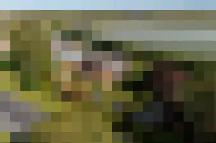 Parallelweg 10 Nieuwendijk thumbnail 66