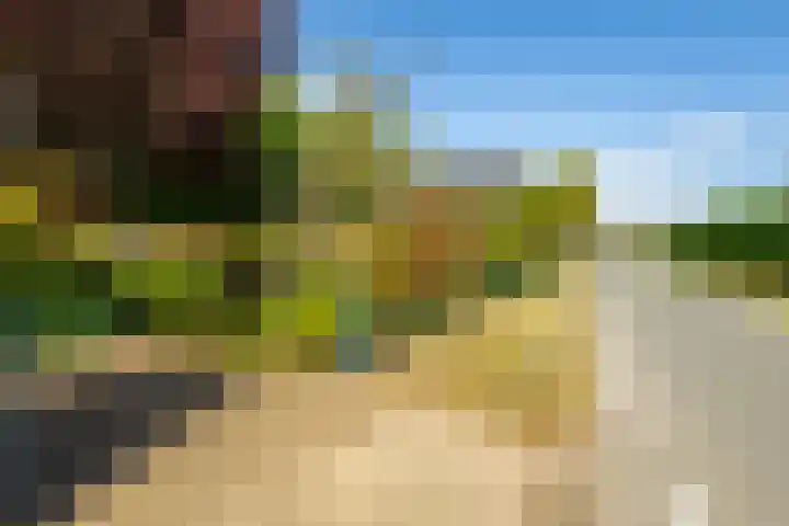 Parallelweg 10 Nieuwendijk thumbnail 7