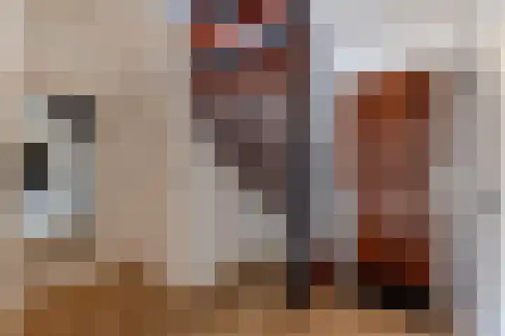 Parallelweg 10 Nieuwendijk thumbnail 9