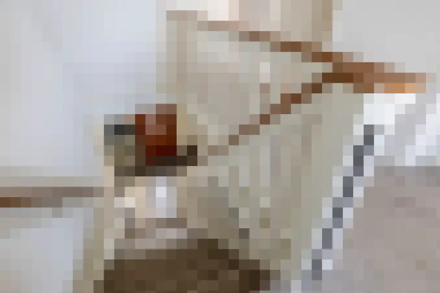 Parallelweg 10 Spijkenisse thumbnail 34
