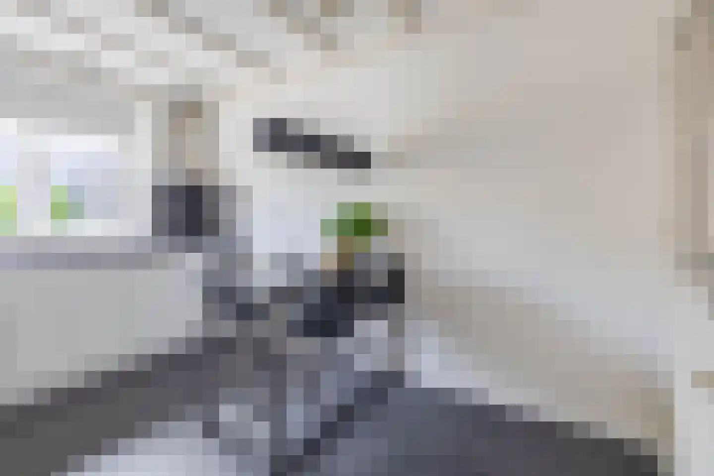 Parallelweg 10 Venlo thumbnail 12