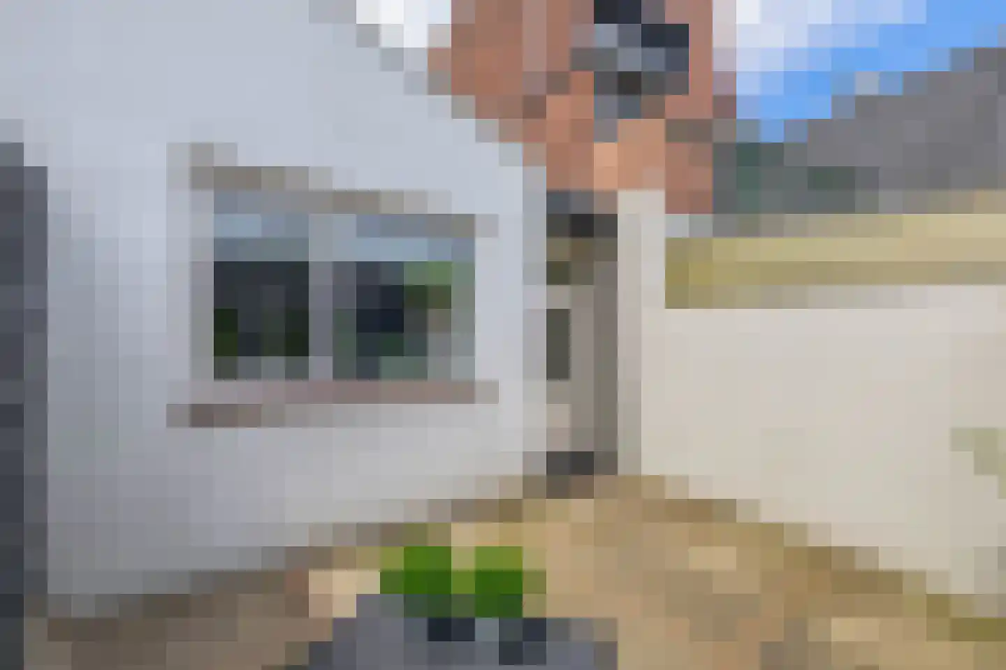 Parallelweg 10 Venlo thumbnail 22