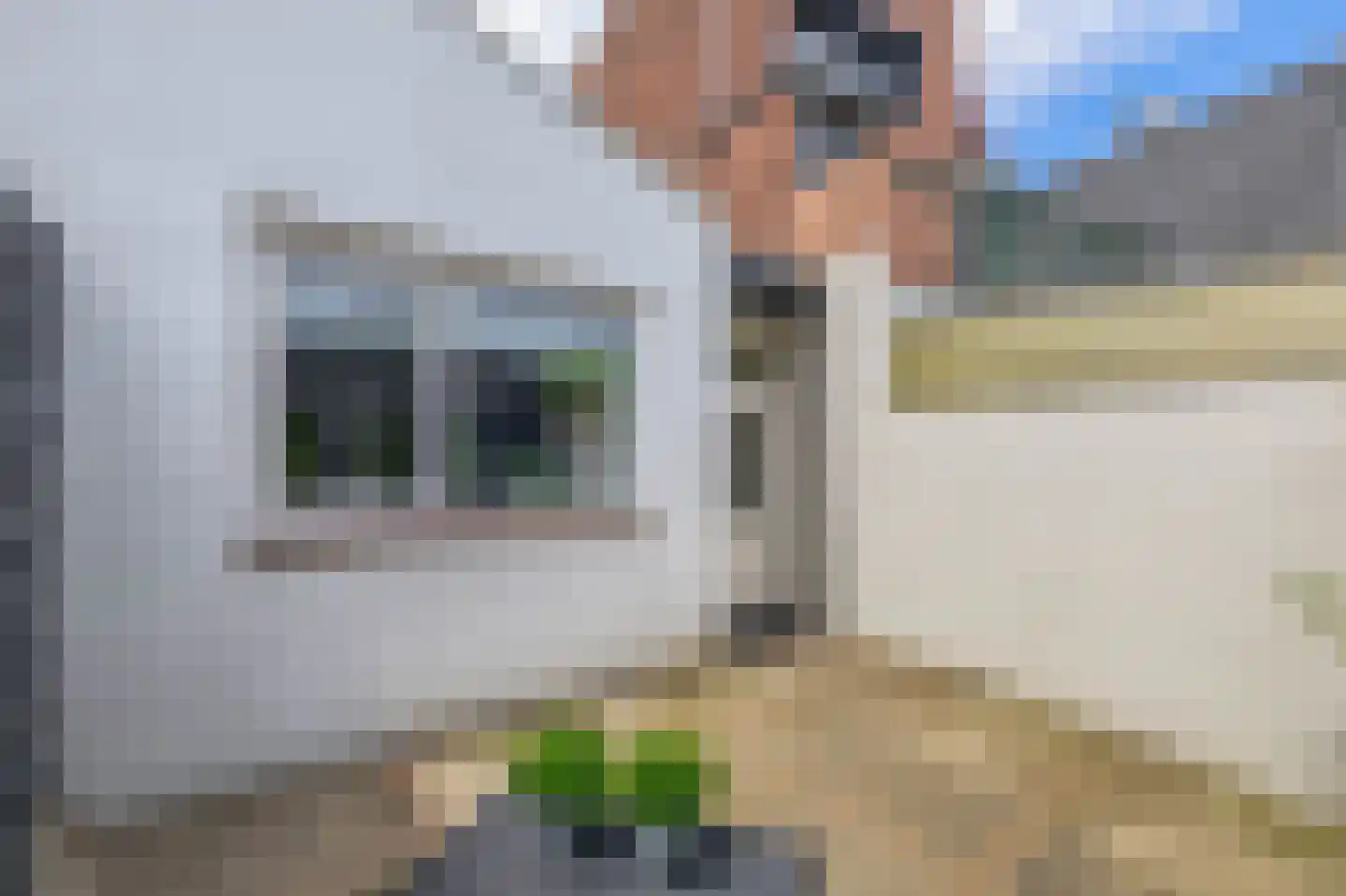 Parallelweg 10 Venlo thumbnail 23