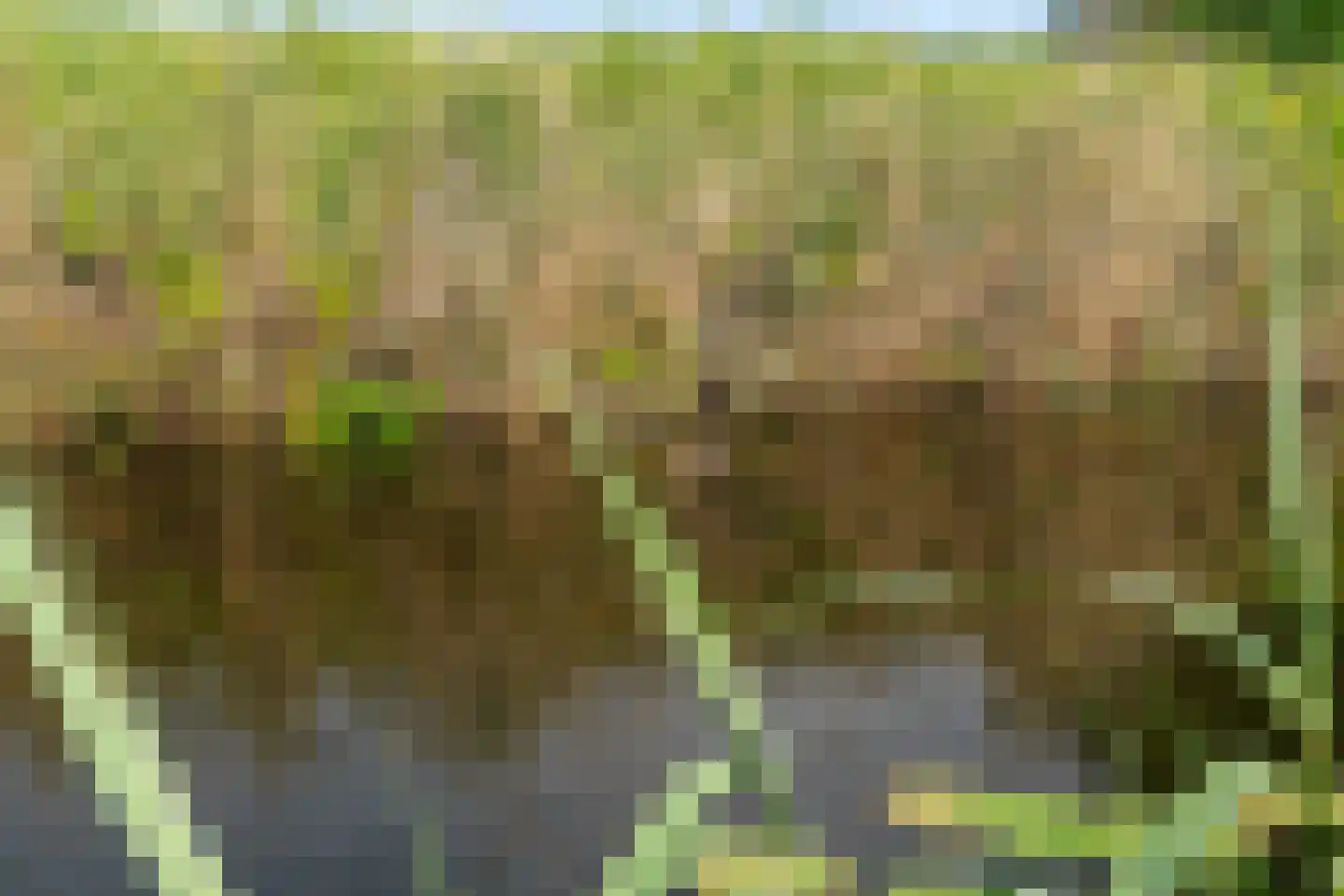 Parallelweg 101 M Hillegom thumbnail 35