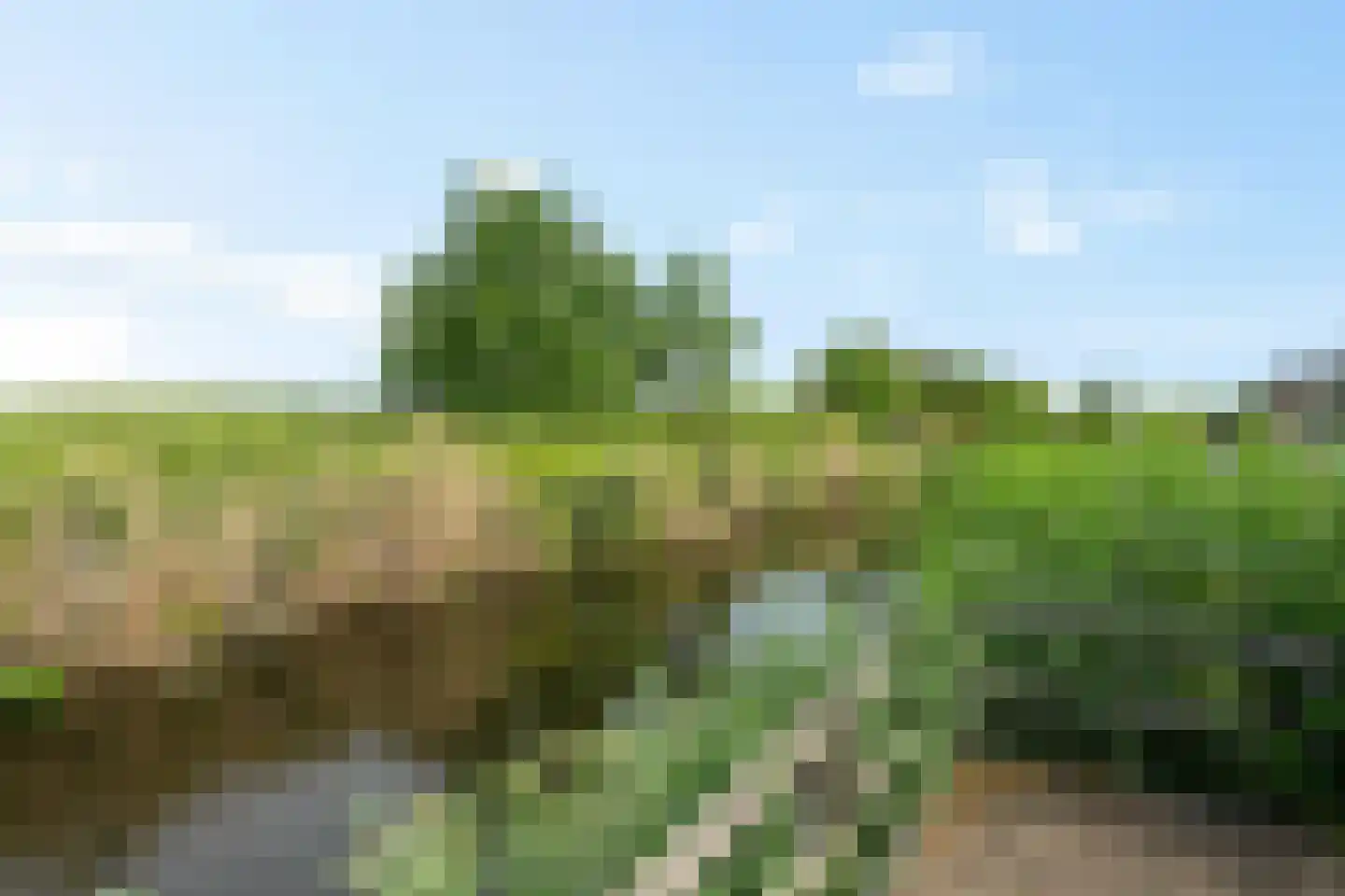 Parallelweg 101 M Hillegom thumbnail 36