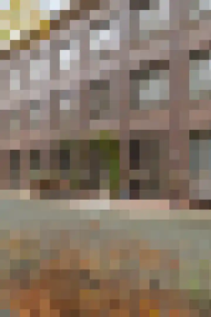 Parallelweg 104 Rotterdam thumbnail 4