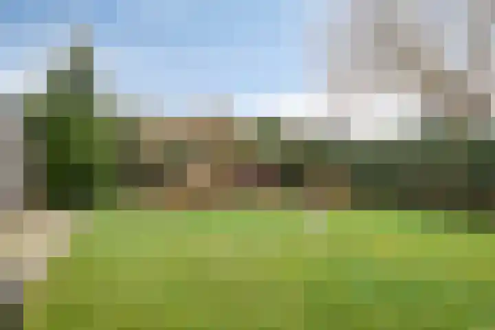 Parallelweg 107 Nunspeet thumbnail 37
