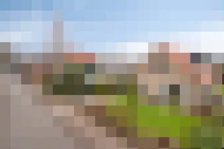 Parallelweg 107 Nunspeet thumbnail 6