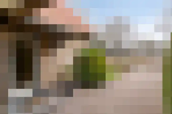 Parallelweg 107 Nunspeet thumbnail 8
