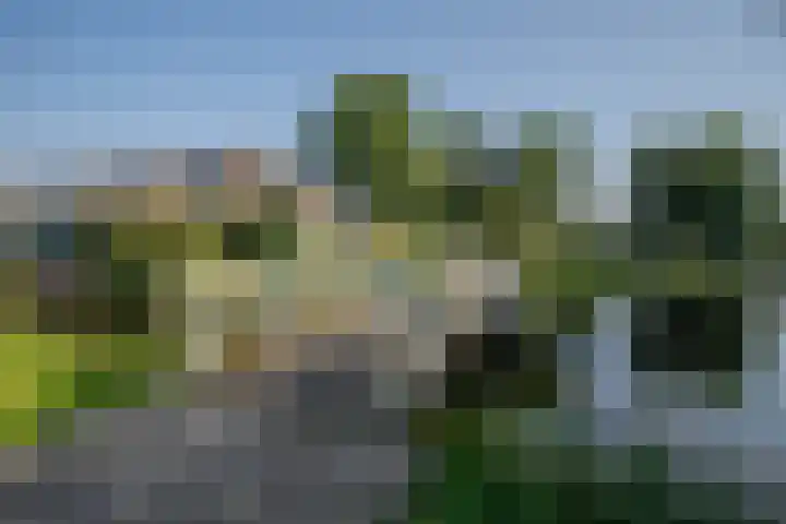 Parallelweg 11 Bergambacht thumbnail 11