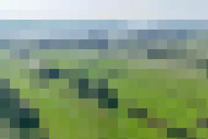 Parallelweg 11 Bergambacht thumbnail 12