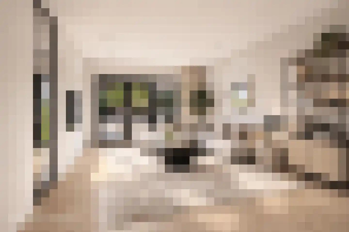 Parallelweg 11 Bergambacht thumbnail 4