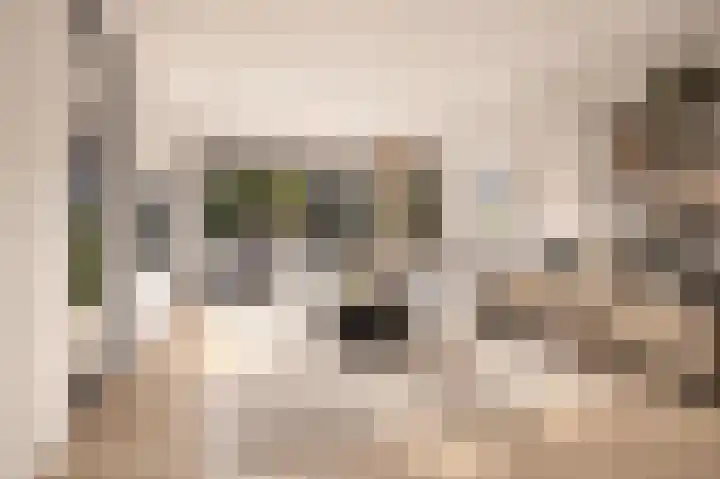 Parallelweg 11 Bergambacht thumbnail 4