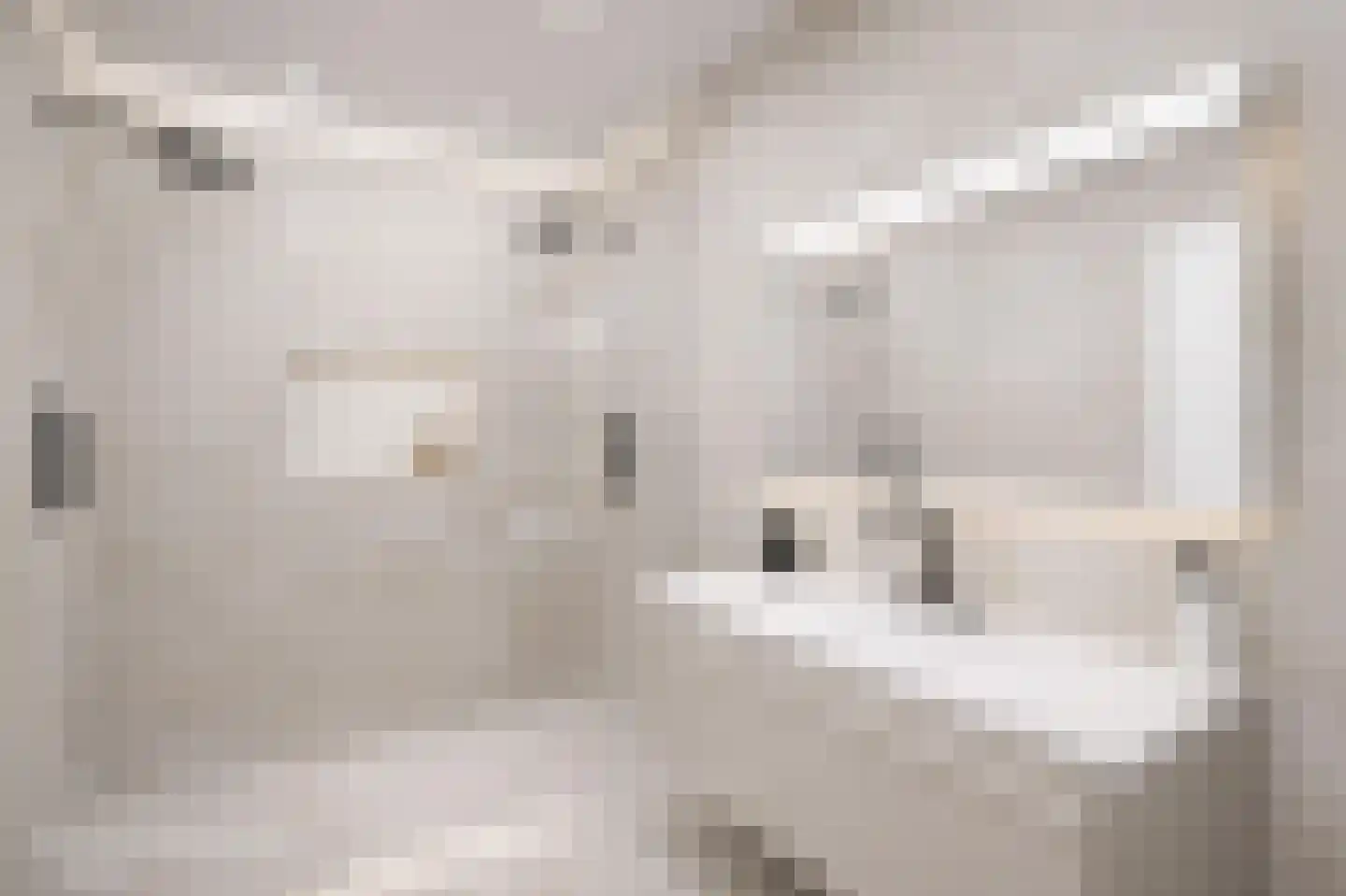 Parallelweg 11 Bergambacht thumbnail 7