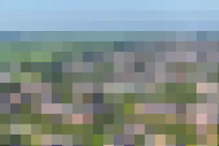 Parallelweg 11 Bergambacht thumbnail 8