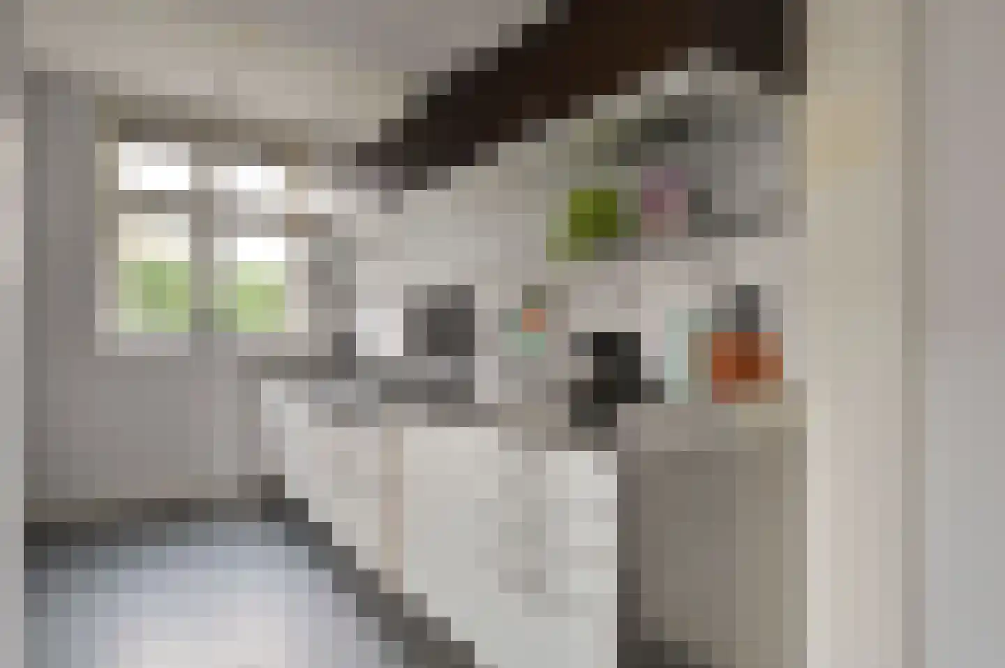 Parallelweg 11 Bussum thumbnail 12