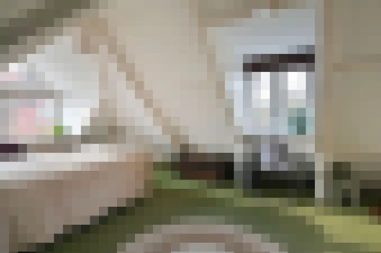 Parallelweg 11 Bussum thumbnail 21