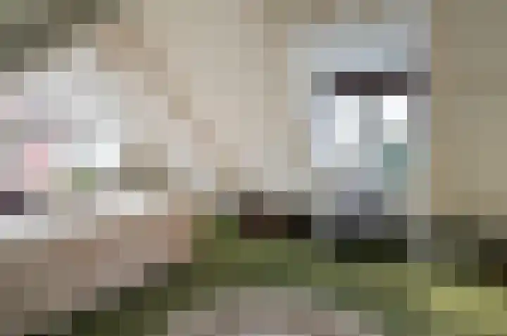 Parallelweg 11 Bussum thumbnail 21