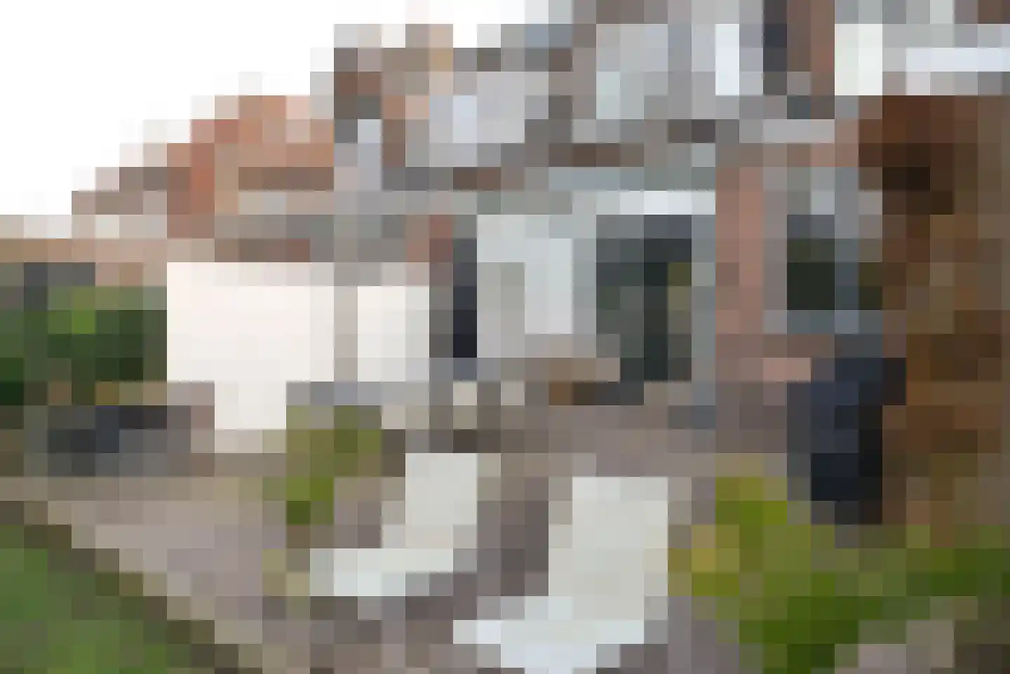 Parallelweg 11 Bussum thumbnail 23