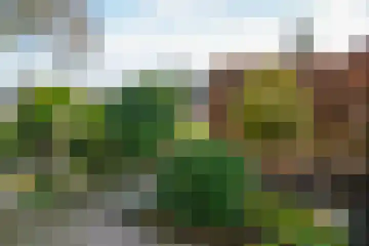 Parallelweg 11 Bussum thumbnail 25
