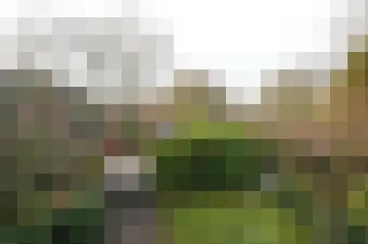 Parallelweg 11 Bussum thumbnail 5
