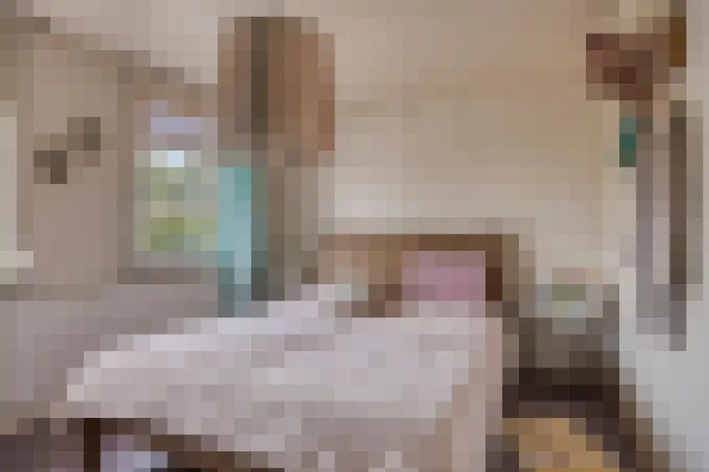 Parallelweg 11 Oirschot thumbnail 21