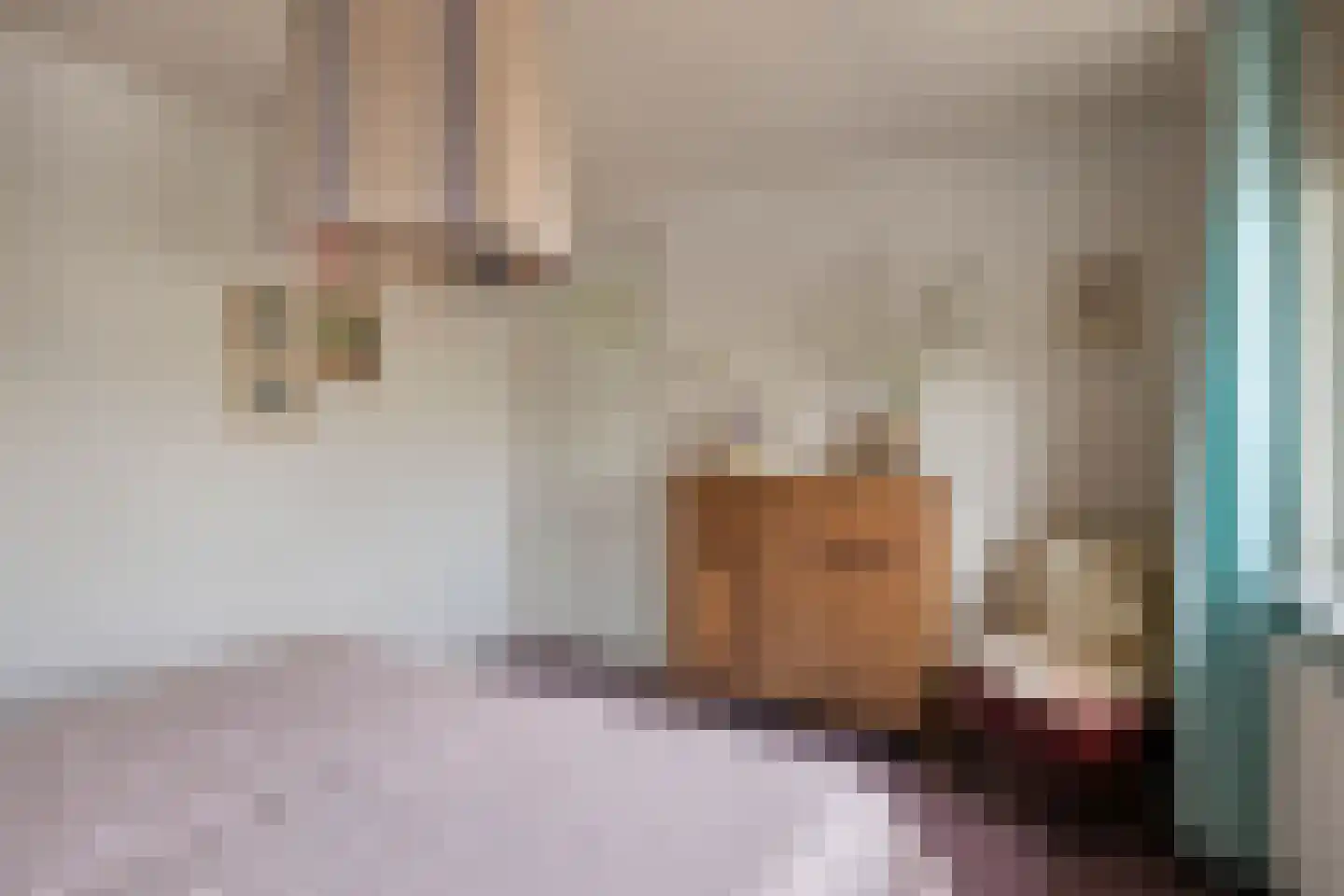 Parallelweg 11 Oirschot thumbnail 22