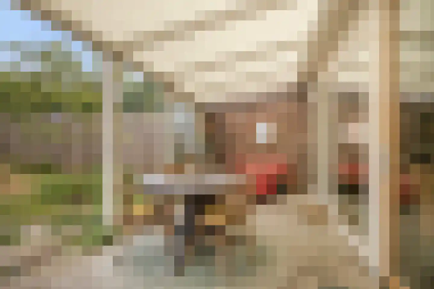 Parallelweg 11 Oirschot thumbnail 31