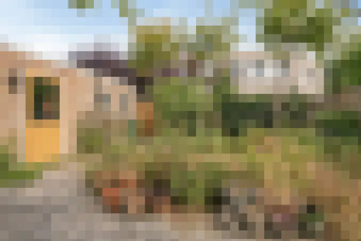 Parallelweg 11 Oirschot thumbnail 32