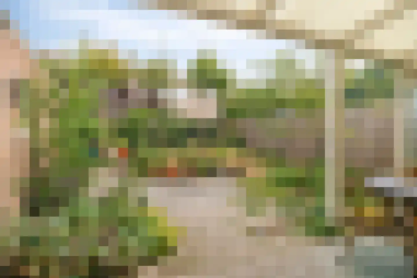 Parallelweg 11 Oirschot thumbnail 5