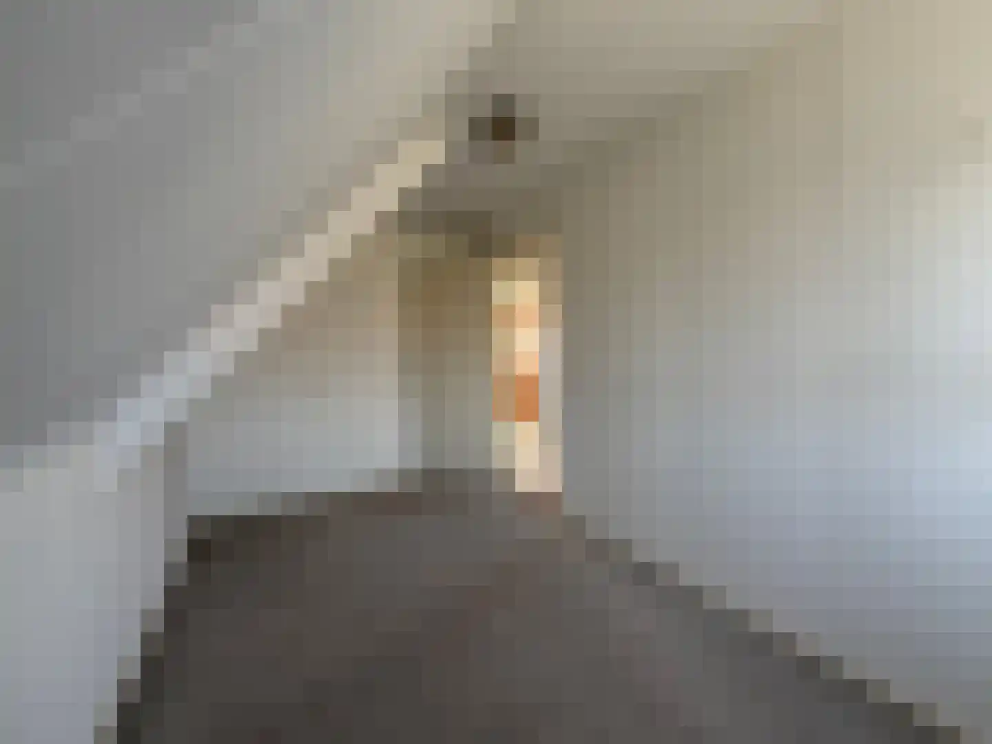 Parallelweg 11 Schijndel thumbnail 11