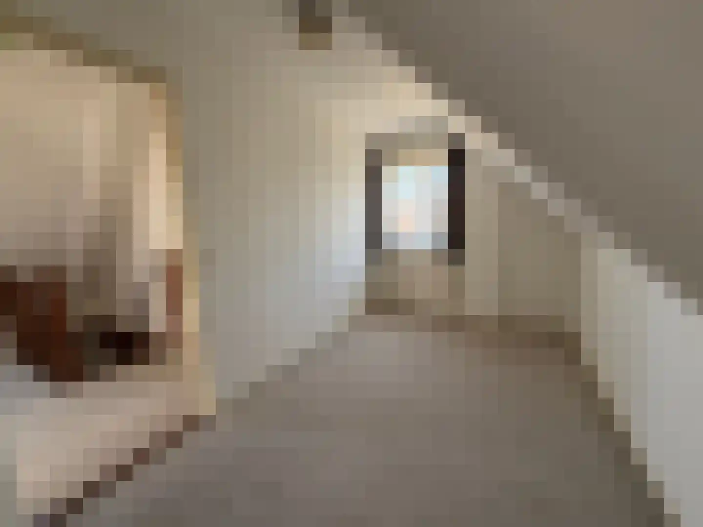 Parallelweg 11 Schijndel thumbnail 12