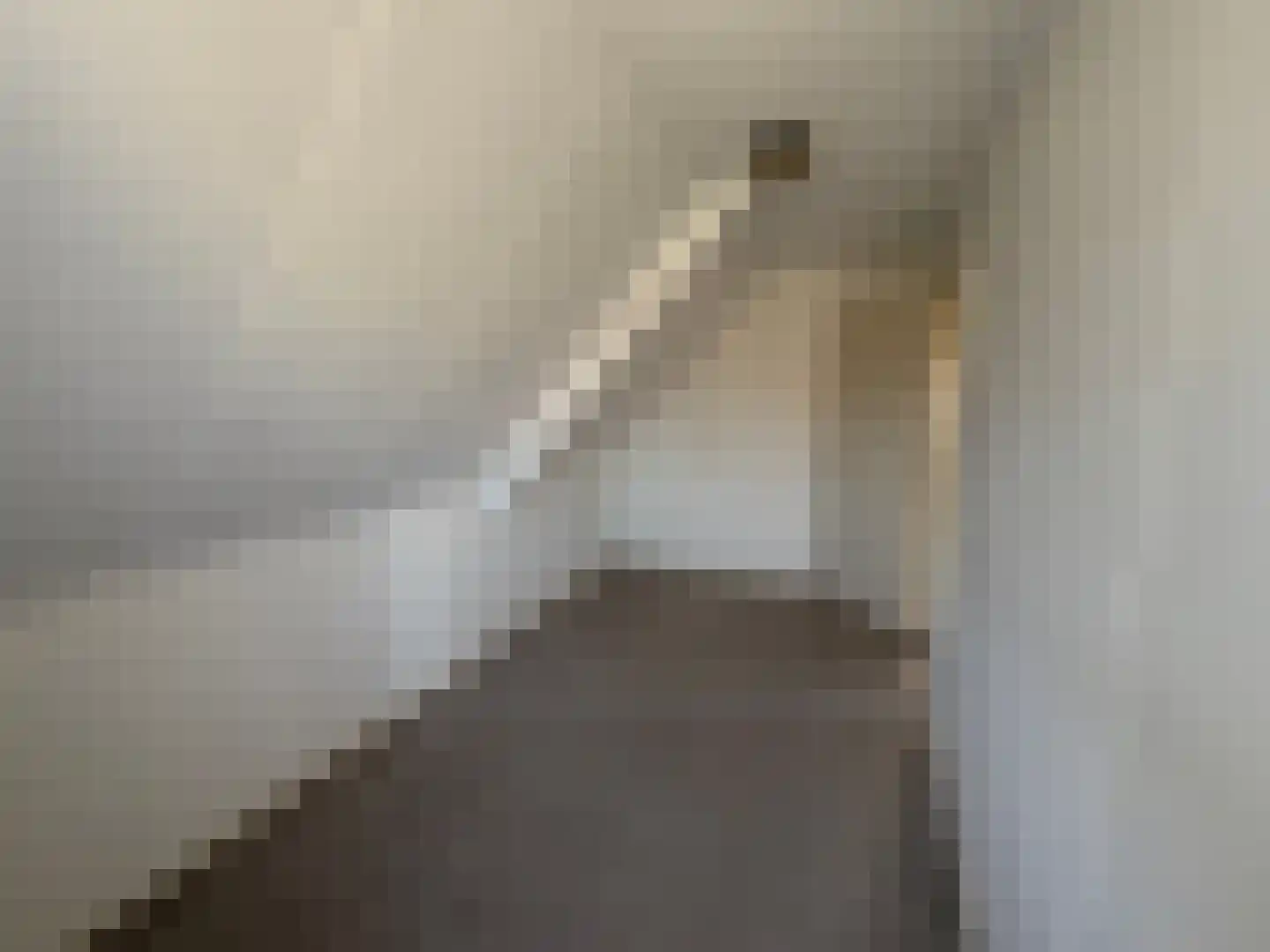 Parallelweg 11 Schijndel thumbnail 13