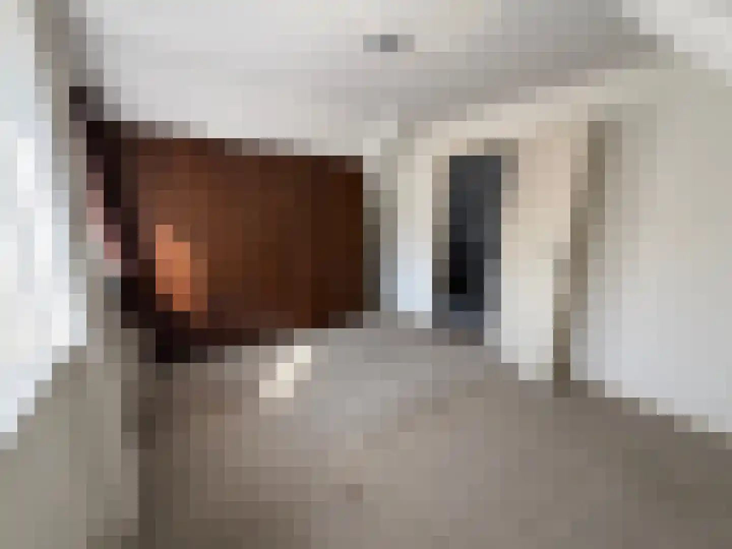 Parallelweg 11 Schijndel thumbnail 15