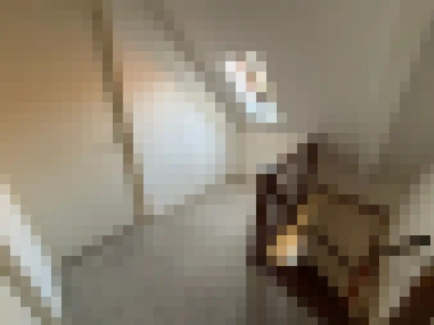 Parallelweg 11 Schijndel thumbnail 16