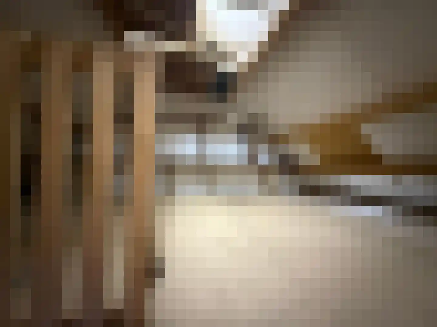 Parallelweg 11 Schijndel thumbnail 19