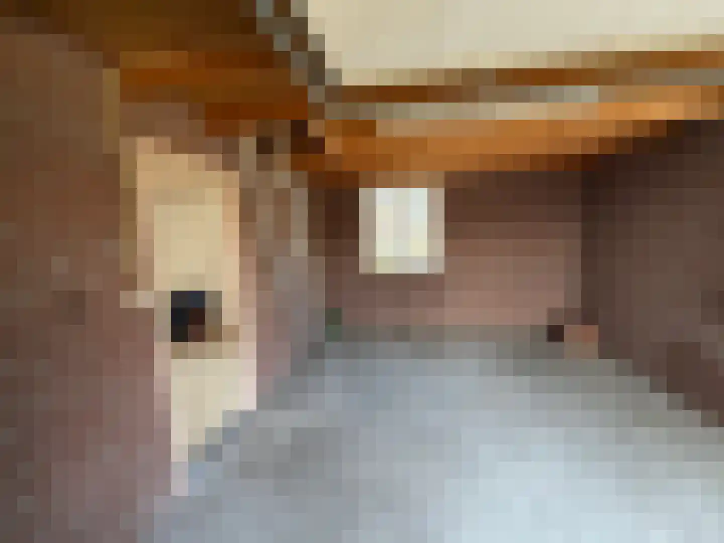 Parallelweg 11 Schijndel thumbnail 21