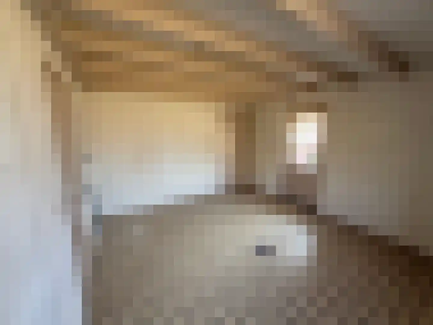Parallelweg 11 Schijndel thumbnail 29