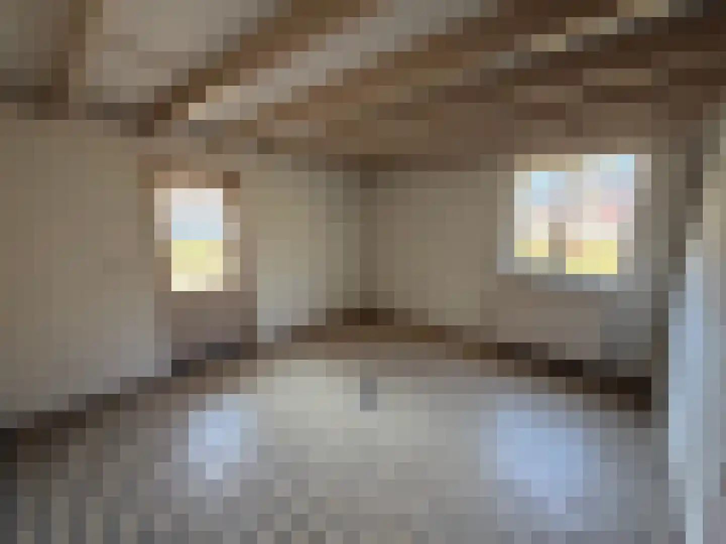 Parallelweg 11 Schijndel thumbnail 30