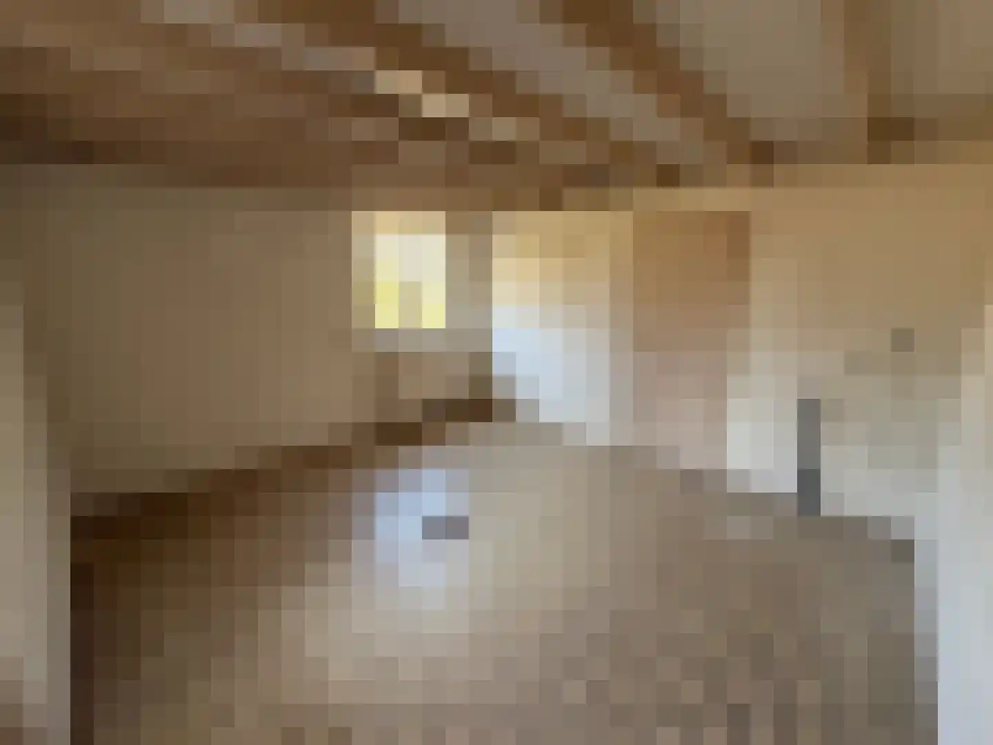 Parallelweg 11 Schijndel thumbnail 31