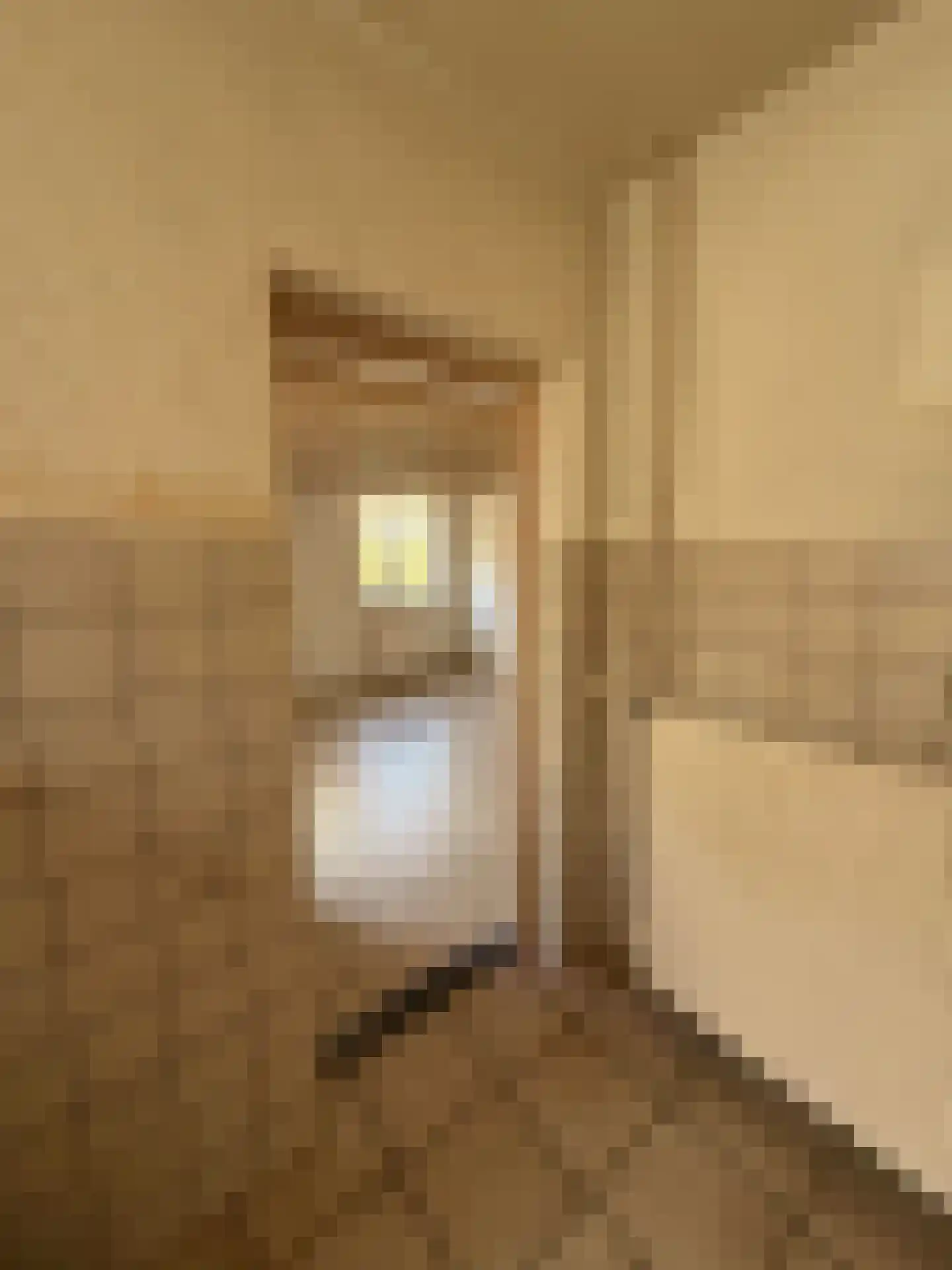 Parallelweg 11 Schijndel thumbnail 32