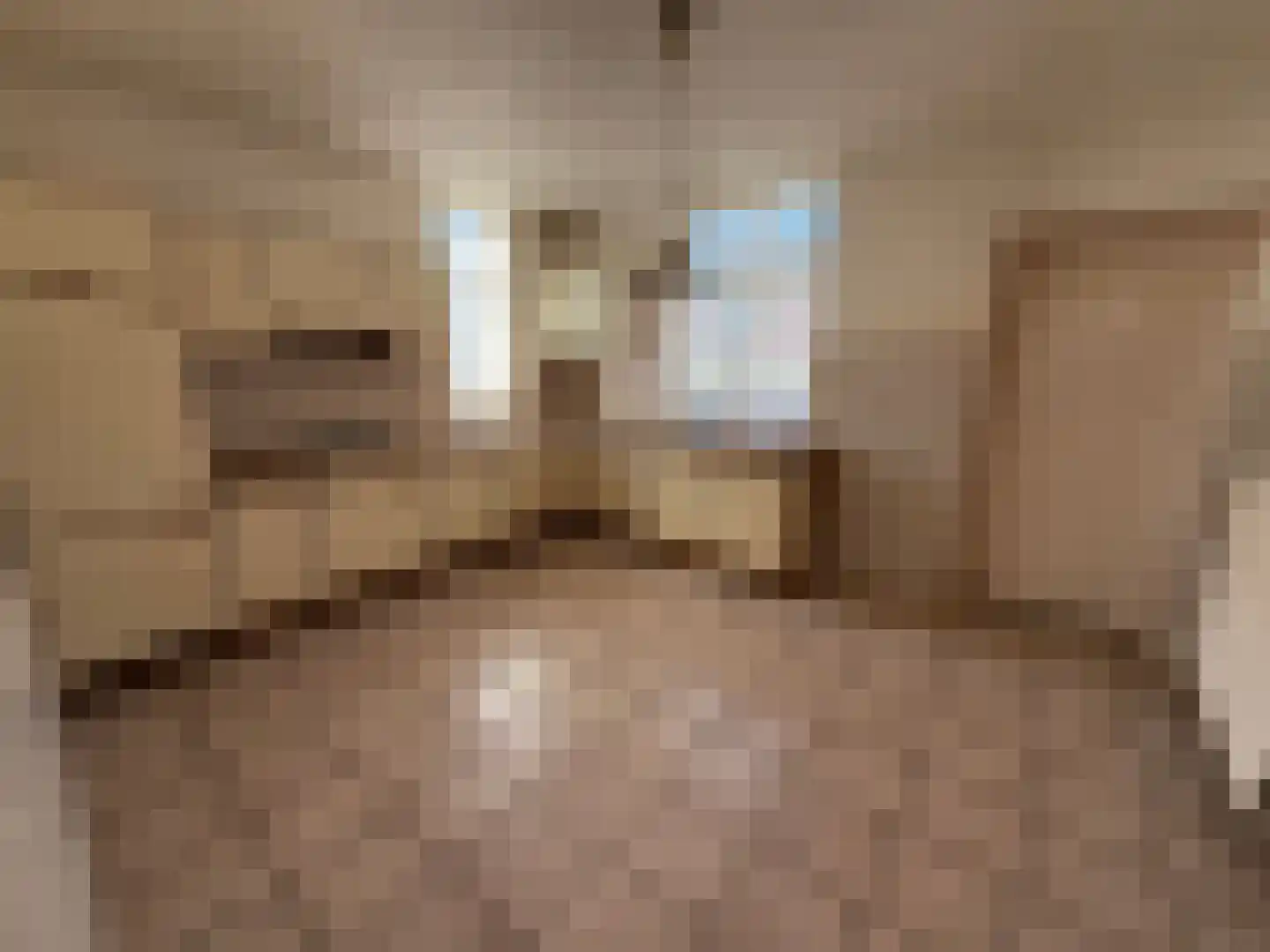 Parallelweg 11 Schijndel thumbnail 35