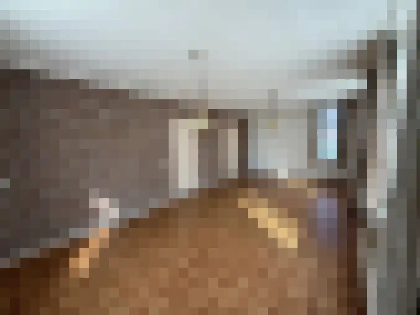 Parallelweg 11 Schijndel thumbnail 37