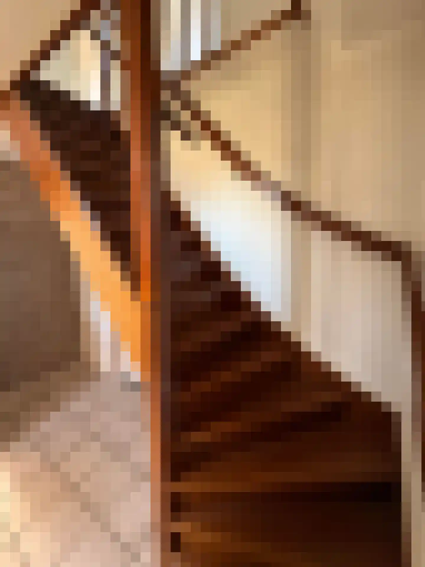 Parallelweg 11 Schijndel thumbnail 42