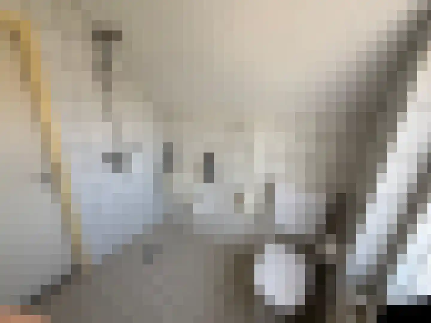 Parallelweg 11 Schijndel thumbnail 7