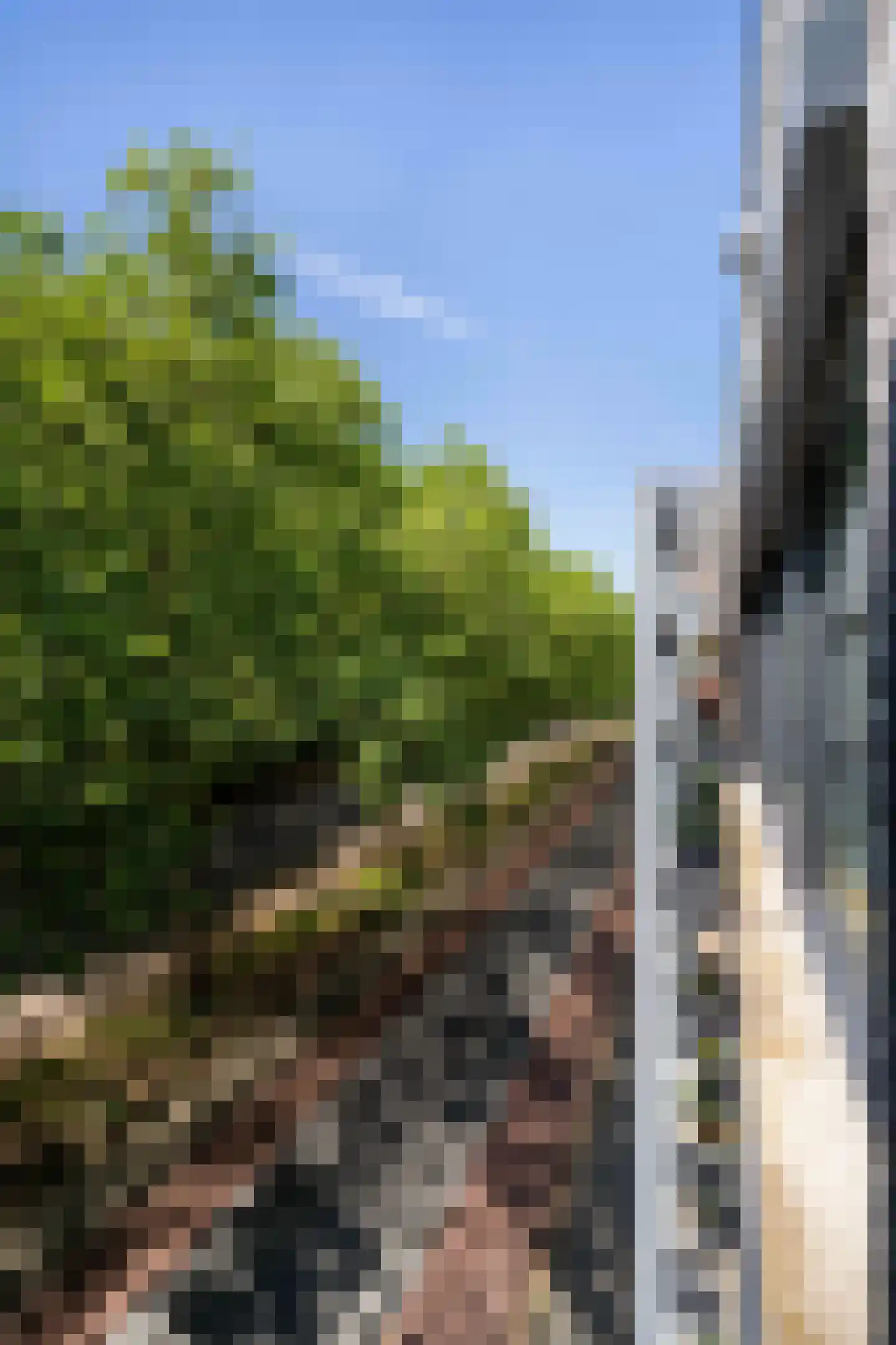 Parallelweg 111 Weert thumbnail 29