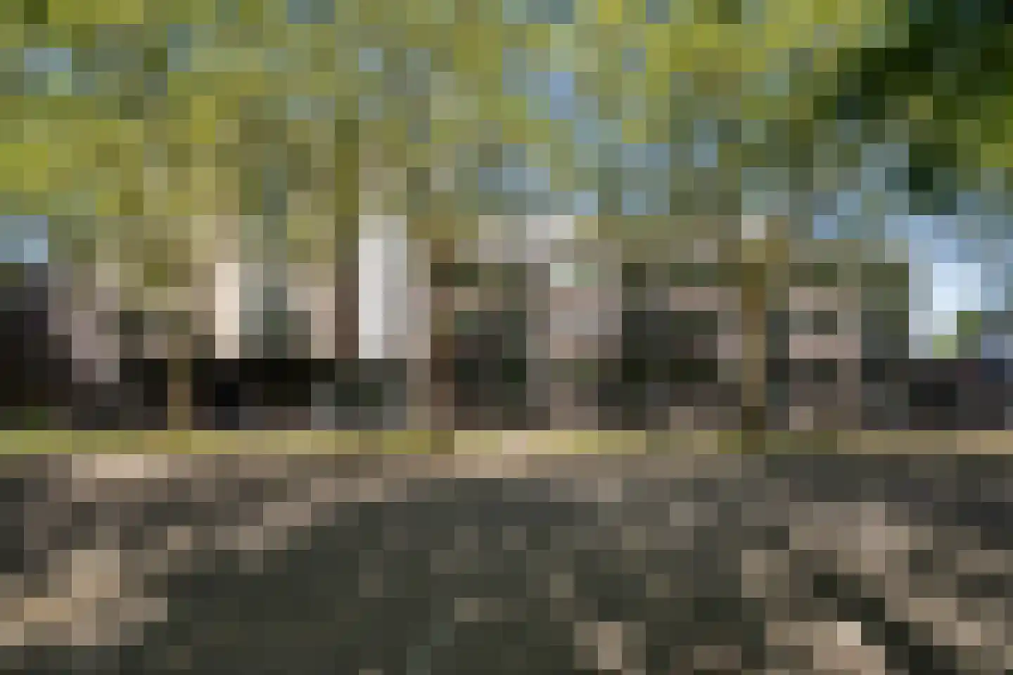 Parallelweg 119 A Weert thumbnail 49