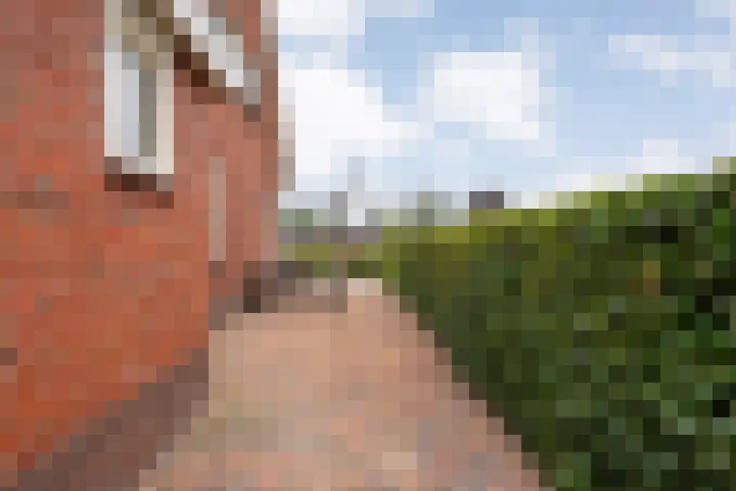 Parallelweg 12 Hardenberg thumbnail 30